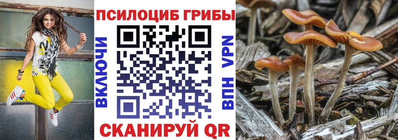 Галлюциногенные грибы прущие грибы  закладки  Заполярный 